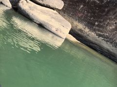 -九曲溪竹筏码头