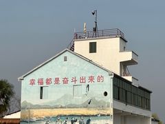 -白塔湖国家湿地公园