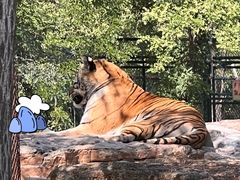 -秦皇岛野生动物园