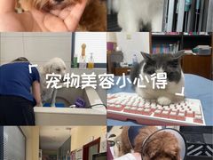 -艾贝尔宠物医院 ·内科全科(梁溪路店)