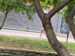 -春风习习