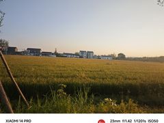 -高旻寺