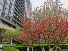 -北京丽晶酒店