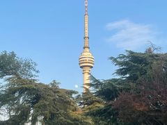 -龟山风景区-龟山电视塔