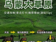 -乌蒙大草原