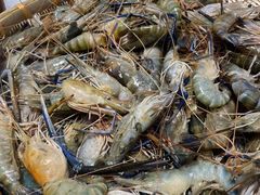 -川骄海鲜自助(河东店)