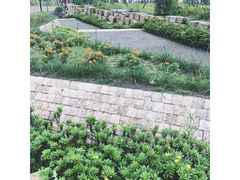 -星巴克(成都科学城店)