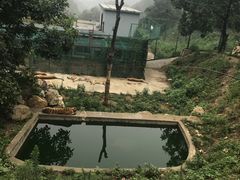 -栾川竹海野生动物园