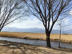 -野鸭湖国家湿地公园