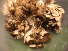 有机舞菇-煲宫猪肚鸡(晶品店)