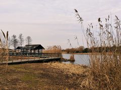 -长广溪湿地公园