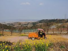 -绵阳盛世樱花悠乐谷