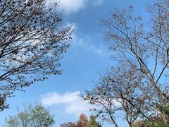 -上海怡沁园度假酒店