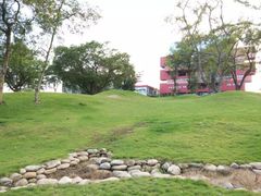 -广西壮族自治区药用植物园