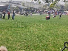 -良渚文化村