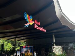 -新加坡飞禽公园