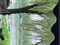-WhaleSports户外水上运动俱乐部(朝阳公园店)
