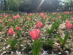 -北京邮电大学