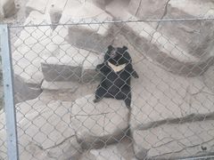 -石家庄市动物园