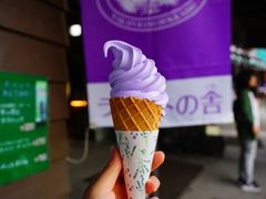 -富田农场