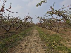 -运城新绛合盛铜火锅