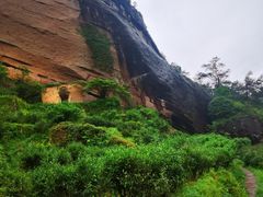 -华祥苑茶馆•国缤茶小蓝罐(普罗旺斯店)