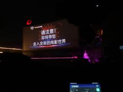 -枫花园汽车电影院(朝阳公园店)