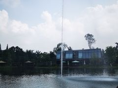 -成飞公园