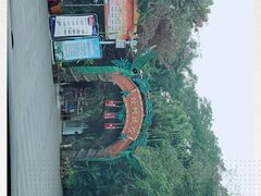 -瑞丽独树成林风景区