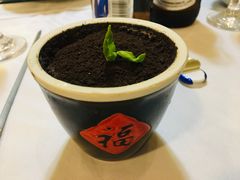 盆栽-首钢一九一九大酒楼(石景山店)