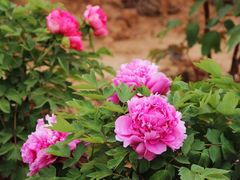 -幕燕滨江·长江观音景区