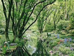 -上海共青森林公园