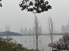 -古琴台