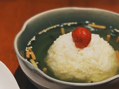 -山杏yama-katsu·吉列炸物