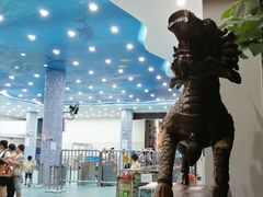 -黄金海岸水上乐园