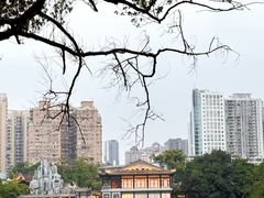 -侨美·唐荔园·40年地道粤菜