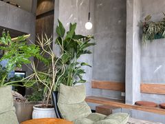 -致璞ZHIPU Rolling on(青岛极地店)