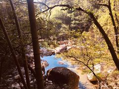 -黄山温泉国际旅游度假区