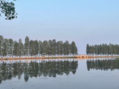 -东湖生态旅游风景区