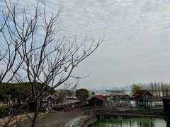 -新木器时代餐厅(太湖新天地店)