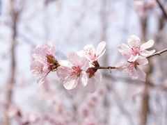 -朝阳公园