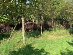 -武汉紫薇都市田园