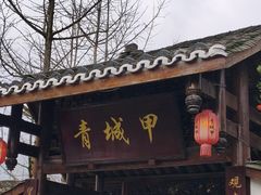 -青城甲(青城山店)