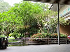 -南宁荔园维景国际酒店·荔园中餐厅