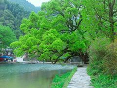-鹿亭中村