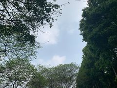 -重庆平顶山公园