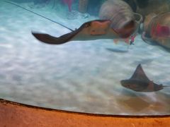 -沈阳海洋探索中心