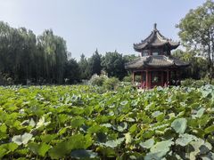 -莲池书院博物馆
