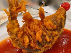 糖醋鲤鱼-金三杯酒家(泉城路店)