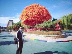 -沈阳方特欢乐世界